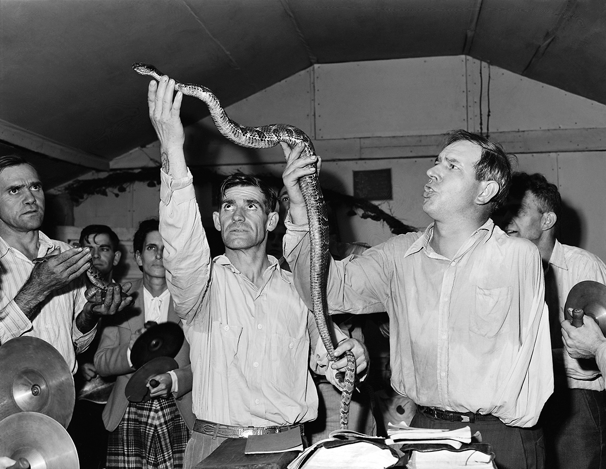 Several men in white collared shirts handle and lift up snakes in front of a crowd that includes people playing various sets of cymbals.