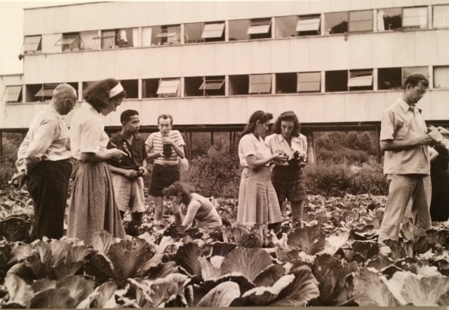 Photography class in a cabbage class, n.d. photo by Barbara Morgan