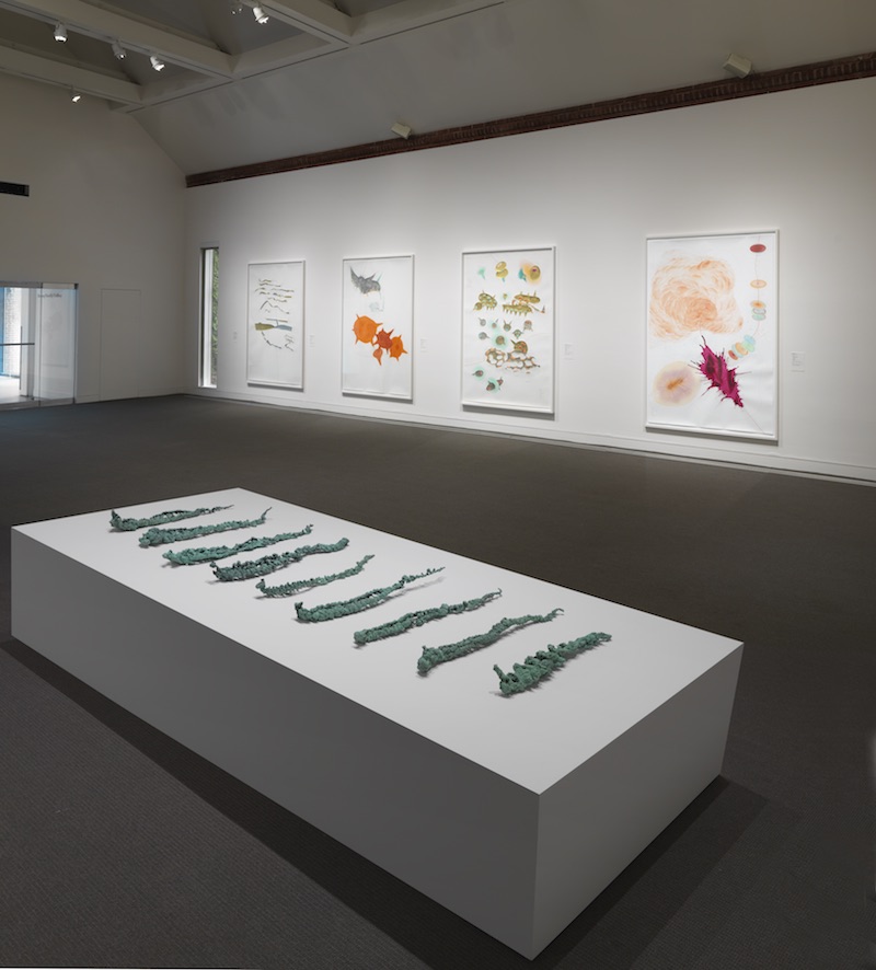 Installation view of work by Jorinde Voigt, Drawing Redefined: Roni Horn, Esther Kläs, Joëlle Tuerlinckx, Richard Tuttle, and Jorinde Voigt, deCordova Sculpture Park and Museum, Lincoln, MA, Photograph by Clements Photography and Design, Boston