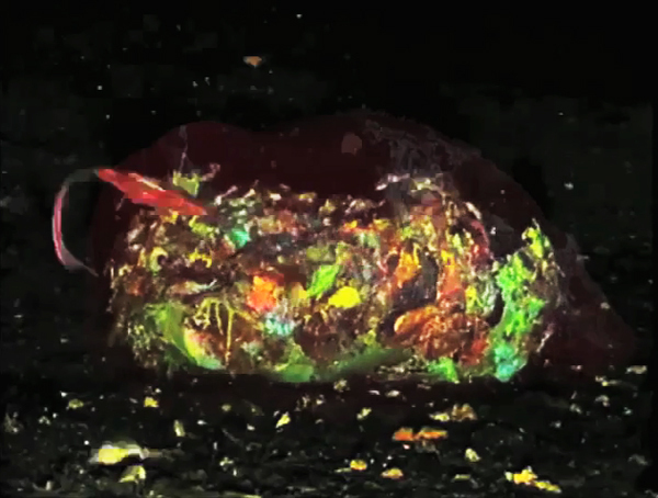 Aimee Goguen, Blobbing, video, 3:15, 2016.