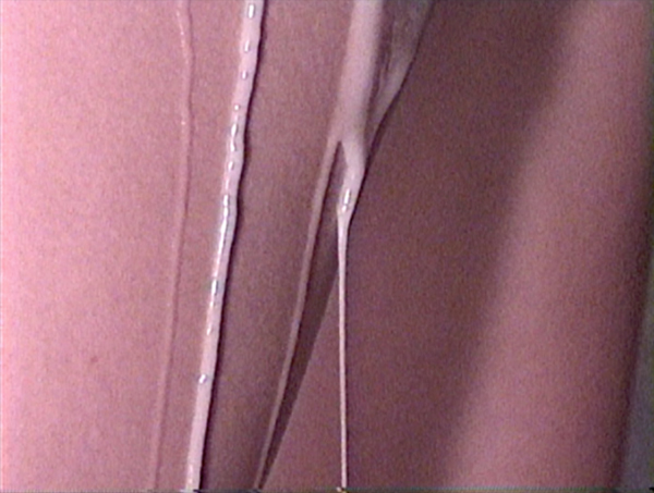 Aimee Goguen, Dogs of Church, video, 4:46, 2014.