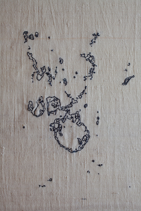Embroidered drawing of magnified water from the Lake of Compassion. Image by the author.