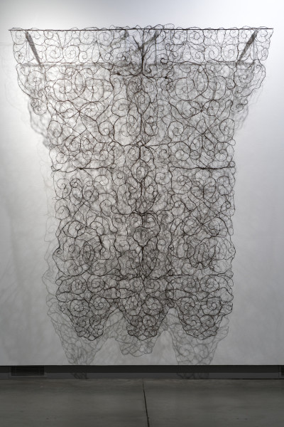 Carson Fox, Hair Filagree No. 5, wire and hair, 84 x 108 in., 2004. Photo by Kyle Dubay.