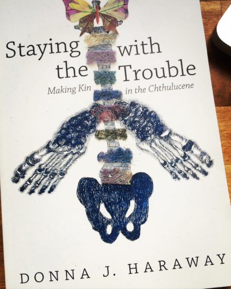 Donna Haraway's Staying with the Trouble