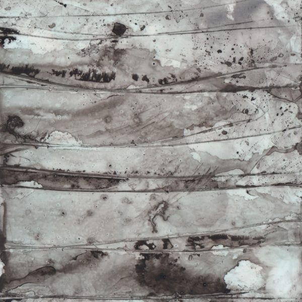 Sarah Baldwin, territory*decay : unmoor, ink on vellum, 6 x 6”, 2014.