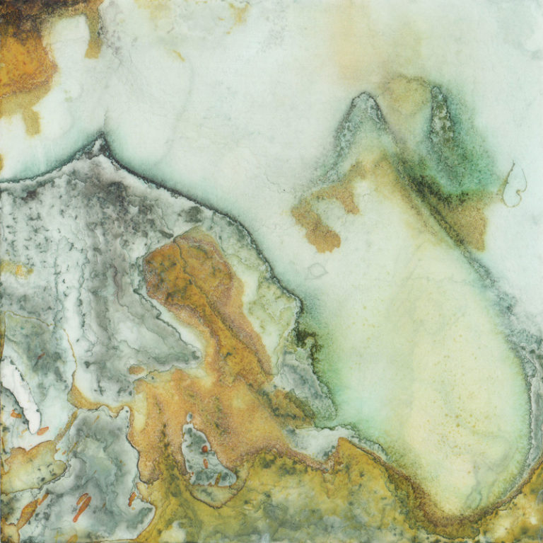 Sarah Baldwin, Territory: wetlands: coastal lowlands_01, ink on vellum, 8 x 8”, 2014.