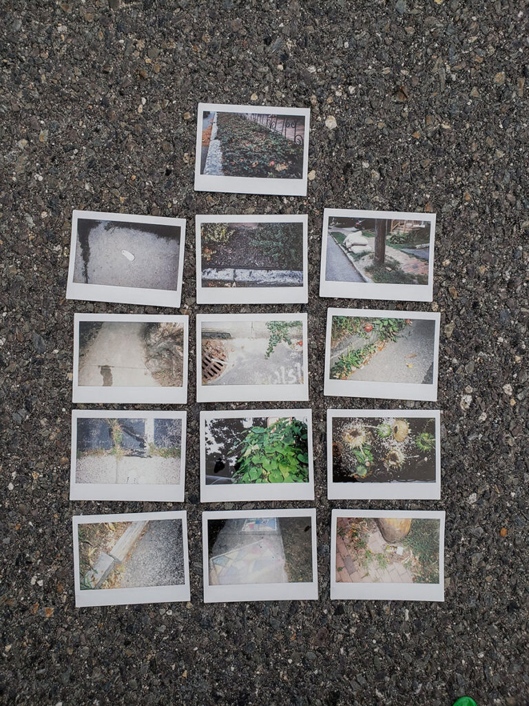 13 Polaroid photos lie on the pavement in a grid. 