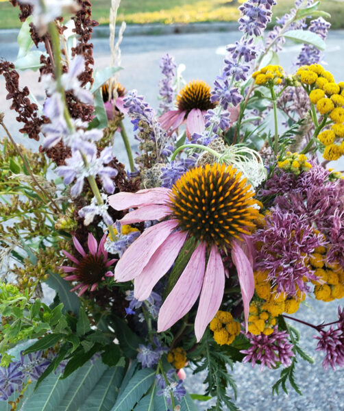 A bouquet of foraged flowers, including a purple coneflower amid a spray of light purples, pinks, yellows, and violets.