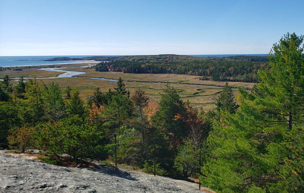 A view of the salt marsh at Morse Mountain. From this perspective on the rocky summit, there are coniferous trees leading down to a flat green and brown marsh, with rivers winding their way through. The ocean is just barely visible to the left in this south-facing image.