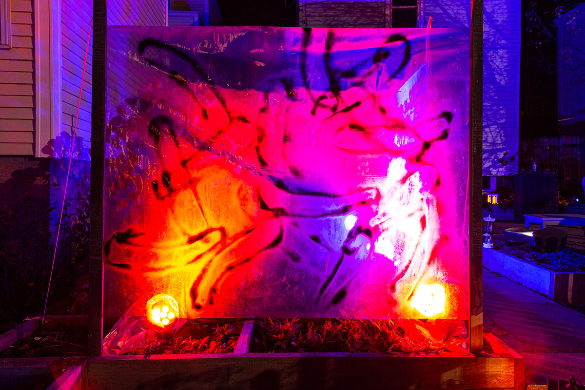 A plastic sheet hangs like a window in front of a house at night. The sheet is covered with expressive markings and seems to be hiding something on the other side. It is illuminated by pink, red, blue, and purple light, giving it a visceral feeling of the body.